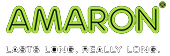 Footer Logo