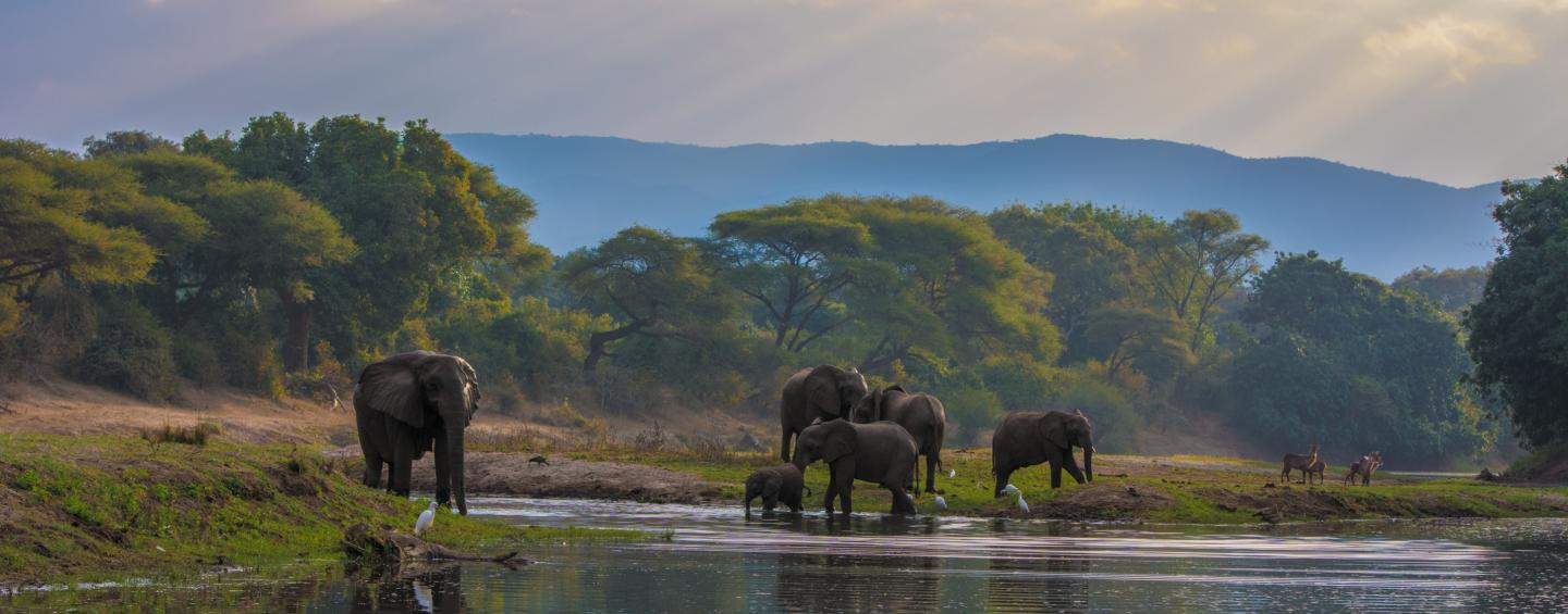 Zambia