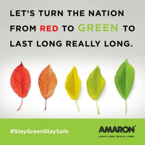 #StayGreenStaySafe - Leaves
